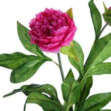 2heads peony branch - 592-510045