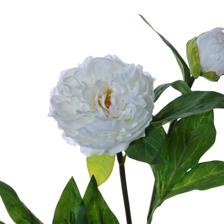2heads peony branch - 592-510046