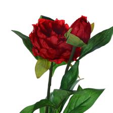 2heads peony branch - 592-510047