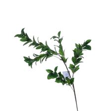 Bagas de Goji - 592-510052