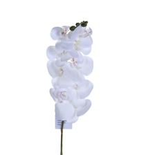 9heads orchid stem - 592-510055