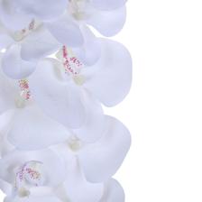 9heads orchid stem - 592-510055