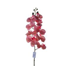 9heads orchid stem - 592-510056