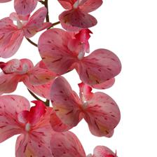 9heads orchid stem - 592-510056