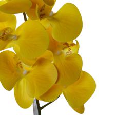 Ramo de orquídea - 592-510057