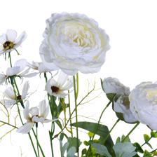 Peony bundle - 592-510058
