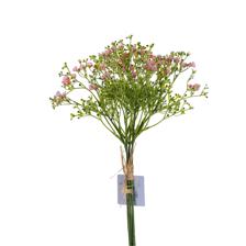 Babysbreath bundle - 592-510065