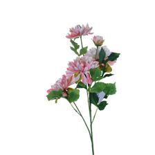 Rama Dahlia 23X19X66CM - 592-510068