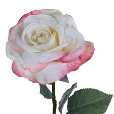 Rose branch - 592-510070