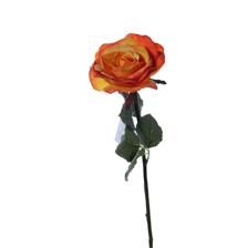 Rose branch - 592-510071