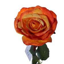 Rose branch - 592-510071