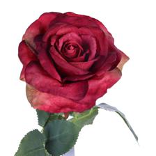 Ramo rosa 15X14X66CM - 592-510072