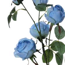 5heads rose branch - 592-510075
