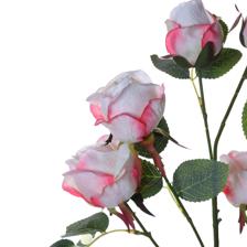 5heads rose branch - 592-510076