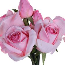 8heads rose bundle - 592-510078