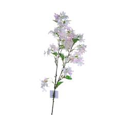 Winterjasmine branch - 592-510080