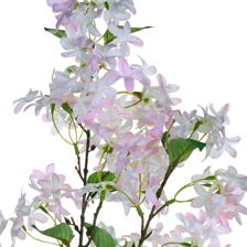 Winterjasmine branch - 592-510080