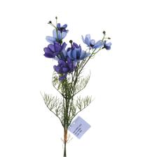 Coreopsis bundle - 592-510083