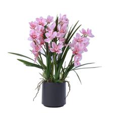 ORQUÍDEA ROSADA C/POTE - 592-510091