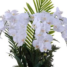 ORQUÍDEA BLANCA C/POTE - 592-510092