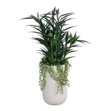 PLANTA C/POTE - 592-510094