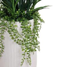 PLANTA C/POTE - 592-510094