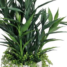 PLANTA C/POTE - 592-510094