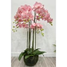 artificial flower orchid bonsai - 592-510095