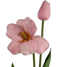 RAMO DE BROWNIE COM MINI TULIPA - 592-530005