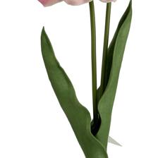 RAMO DE BROWNIE COM MINI TULIPA - 592-530005