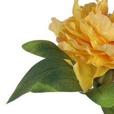 TALO DE PEÔNIA - 592-530010