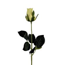 HASTE DE ROSA ROYAL TOUCH - 592-530017