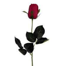 HASTE DE ROSA ROYAL TOUCH - 592-530019