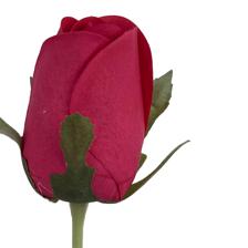 HASTE DE ROSA ROYAL TOUCH - 592-530019