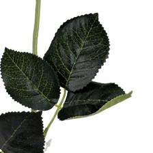 HASTE DE ROSA ROYAL TOUCH - 592-530019