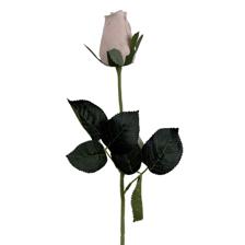 HASTE DE ROSA ROYAL TOUCH - 592-530020