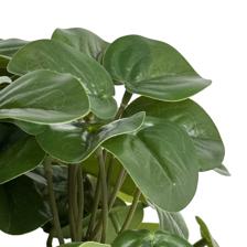 HOJAS PEQUEÑAS EN MACETA EN CA - 592-530021