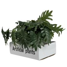 POTTED SPRING RAIN LEAVES6 ASSORTED IN GIFTBOX - 592-530023