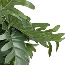 POTTED SPRING RAIN LEAVES6 ASSORTED IN GIFTBOX - 592-530023