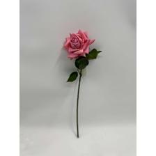 ROSA 48CM - 592-530038