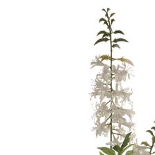 REAL TOUCH MINI FLOWER BRANCH - 592-530041