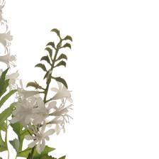 REAL TOUCH MINI FLOWER BRANCH - 592-530041