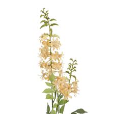 PLANTA DECORATIVA - 592-530052