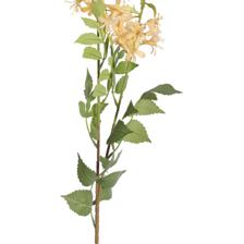 PLANTA DECORATIVA - 592-530052