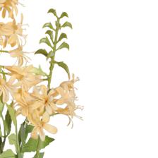 PLANTA DECORATIVA - 592-530052