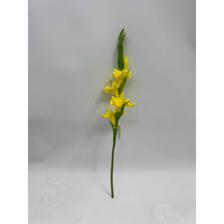 gladiolus stem - 592-530056