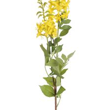 PLANTA DECORATIVA - 592-530058