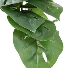 PLANTA C/TUBO PLÁSTICO - 592-540003