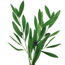 ARTIFICIAL PLANT IN POT - 592-540014