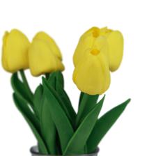 TULIPAN AMARILLO C/POTE 12X16X - 592-540017